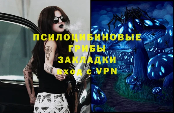 хмурый Алзамай