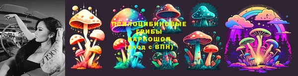 хмурый Алзамай
