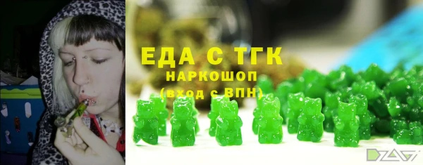 хмурый Алзамай