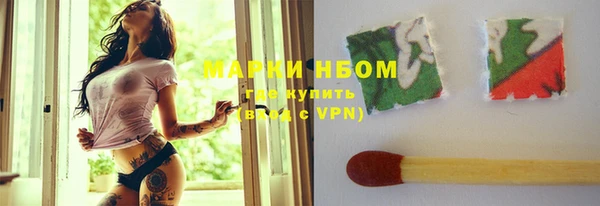 хмурый Алзамай