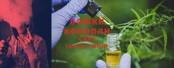 сатива Алексеевка