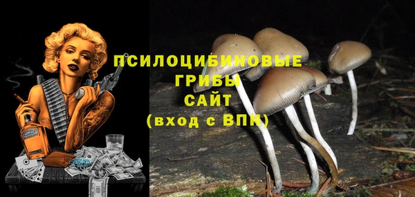 сатива Алексеевка