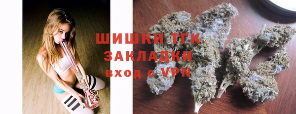 сатива Алексеевка