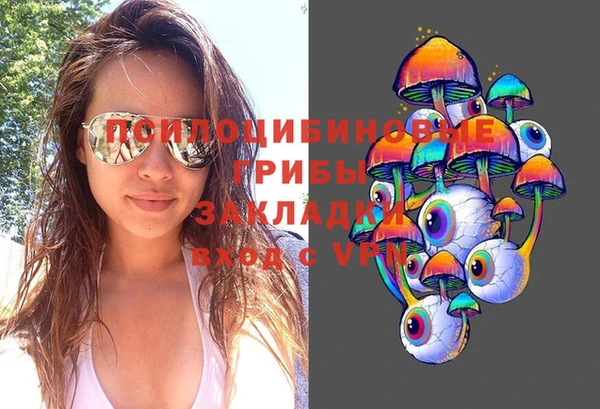 хмурый Алзамай