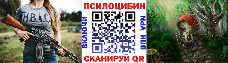 Галлюциногенные грибы Psilocybe  Бахчисарай 