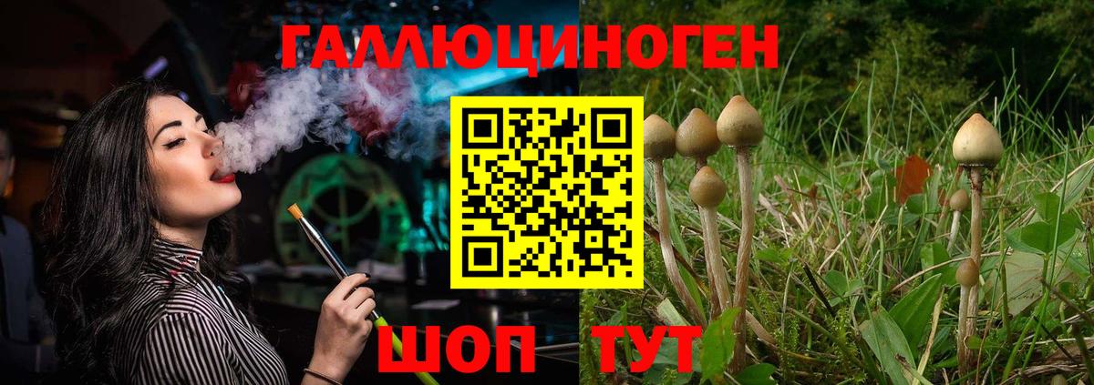 Галлюциногенные грибы Psilocybine cubensis Бахчисарай